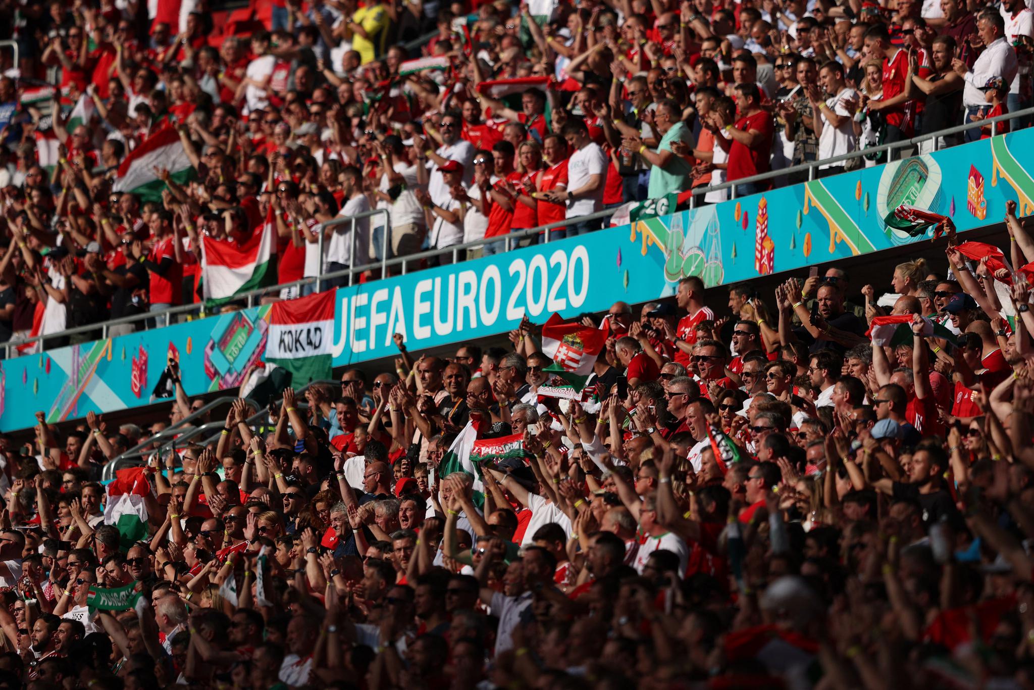 10吨植物油精炼设备