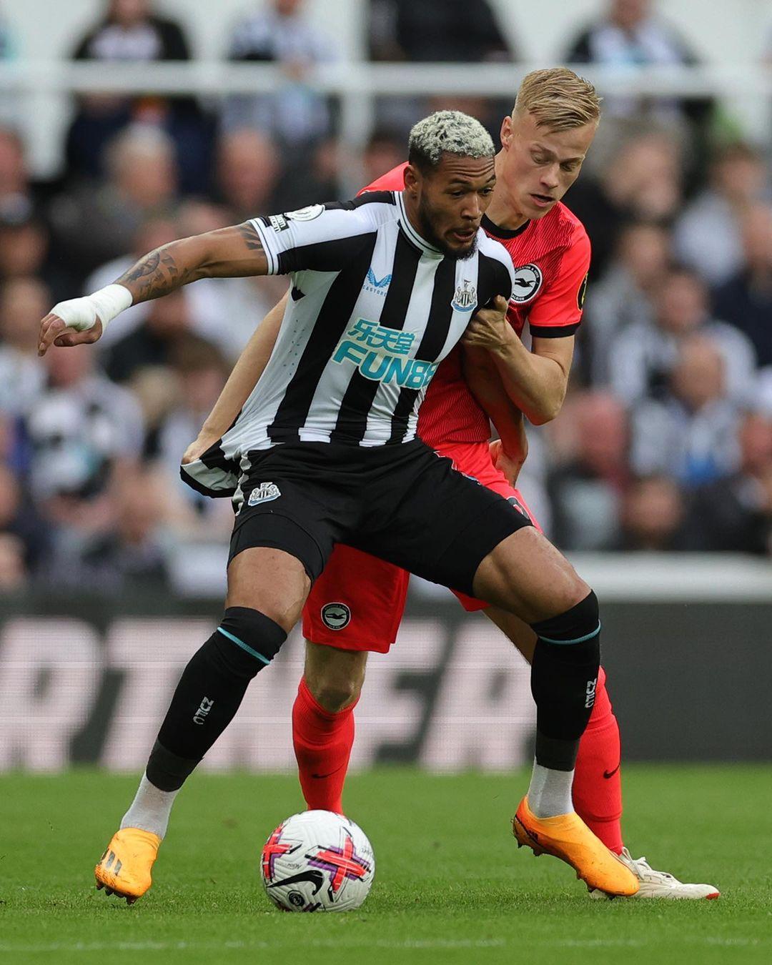 日处理60T动物油熬练生产线